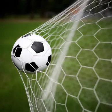 Cancha deportiva de pasto en renta